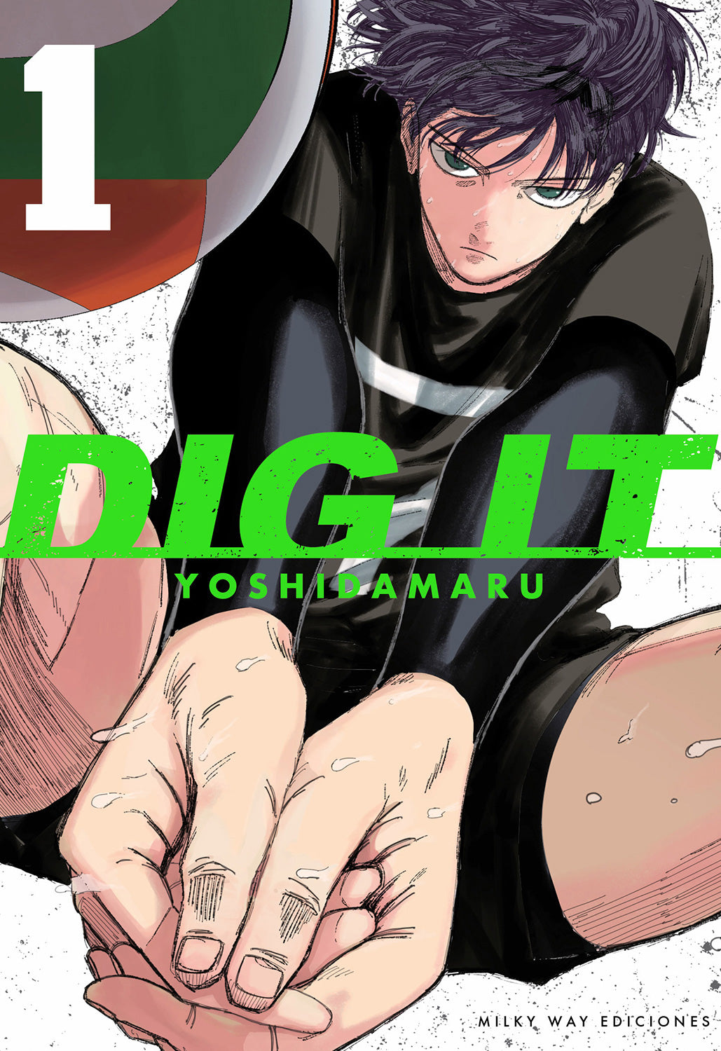 Dig It, Vol. 1
